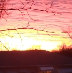 Meet your Posher, Piper